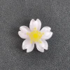 Ice-transparent crystal five-petal flower cherry blossom resin diy jewelry accessories, phone cases, crocs, patches, hair accessory materials Specification image